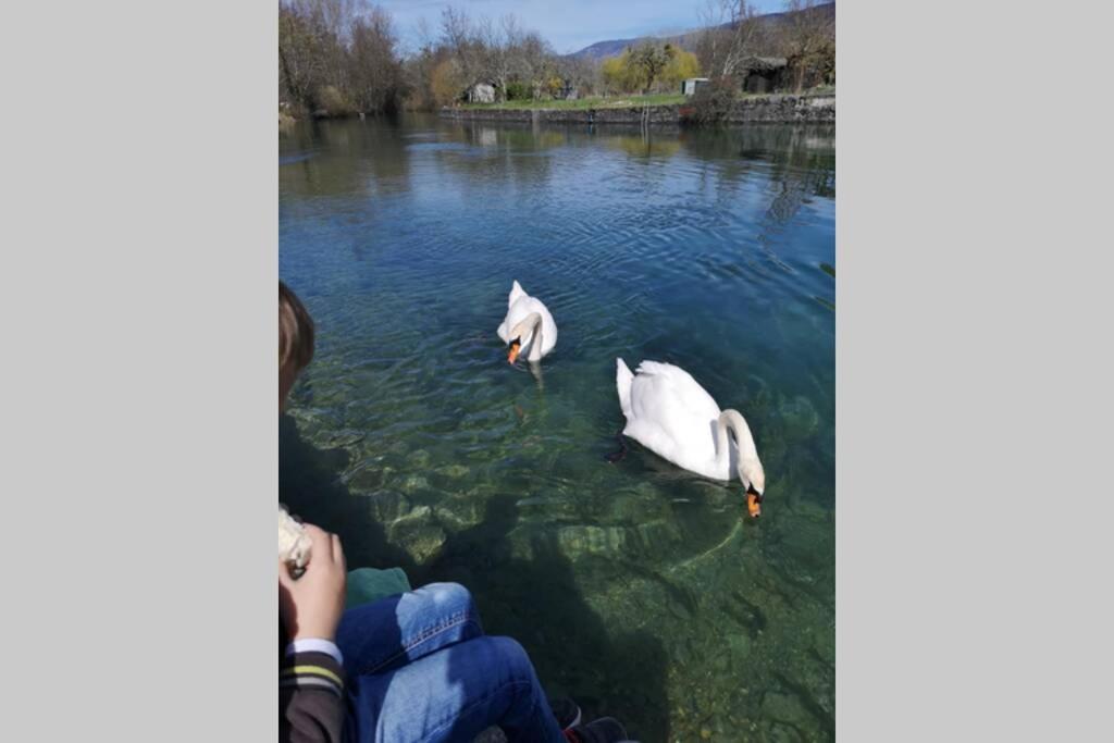 Le Portougais, Chalet A Chanaz, La Petite Venise Savoyarde Dış mekan fotoğraf