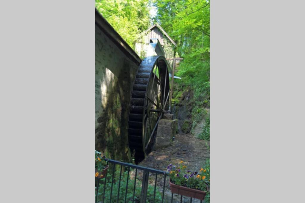 Le Portougais, Chalet A Chanaz, La Petite Venise Savoyarde Dış mekan fotoğraf